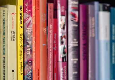 Club lecture adulte