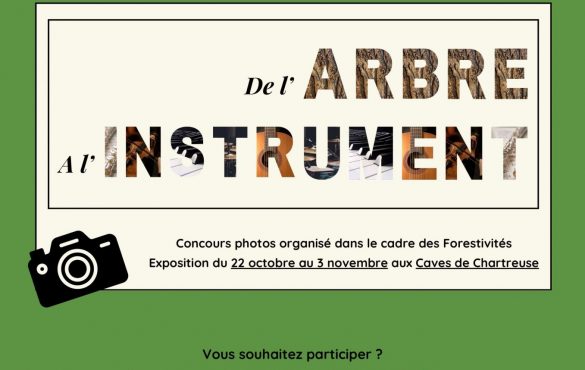 Concours photo : De l’arbre à l’instrument