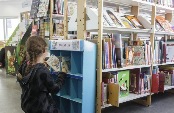 Réseau des bibliothèques